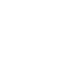Brochure Icon